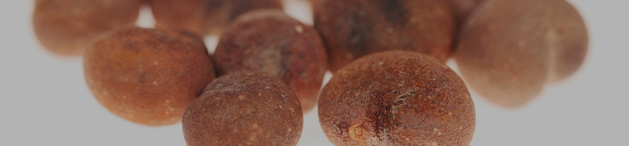Baobab