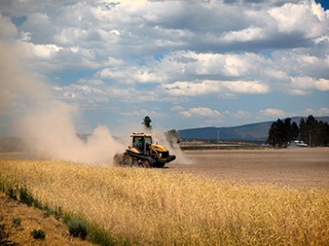 Agricultural Raw Materials